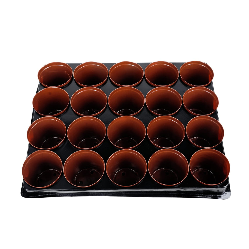 Jardin 20 Mini Place Pots In A Tray, product image 2