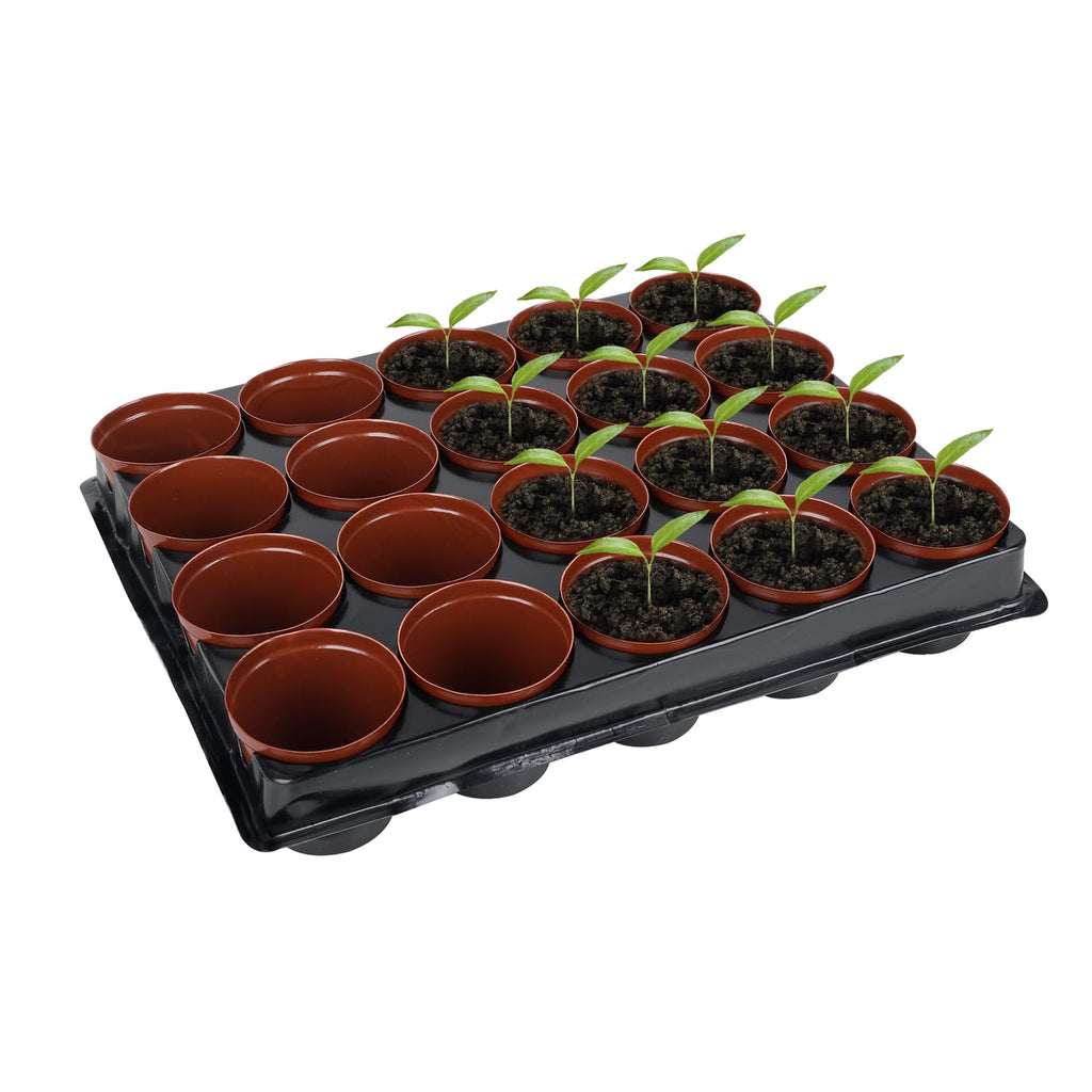 Jardin 20 Mini Place Pots In A Tray, product image 3